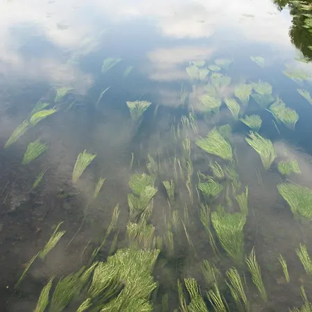 Hotel Carris Cardenal Quevedo Ourense